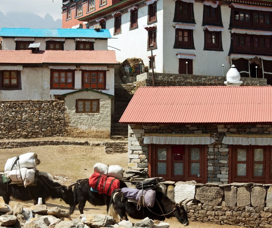 DALSZE ZWIEDZANIE KATMANDU