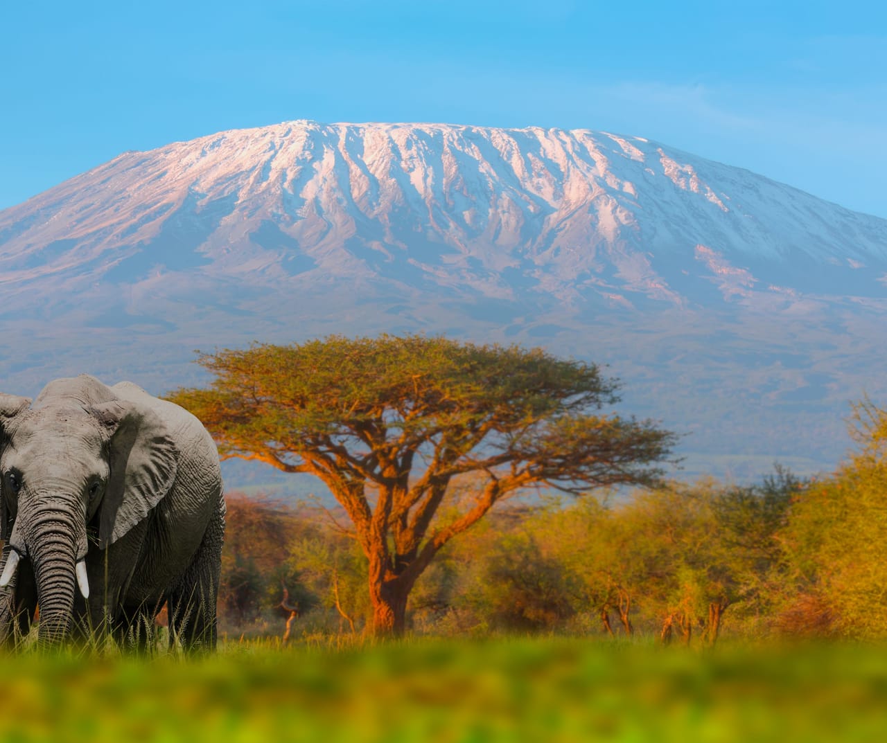 PRZYLOT DO TANZANII