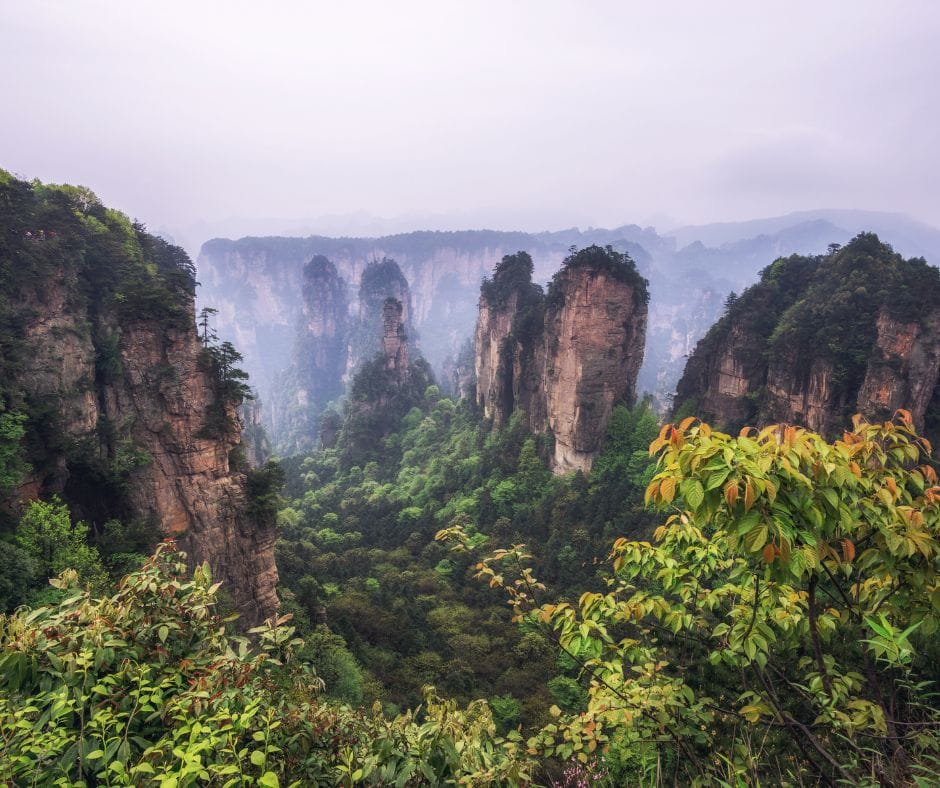 PARK NARODOWY ZHANGJIAJIE