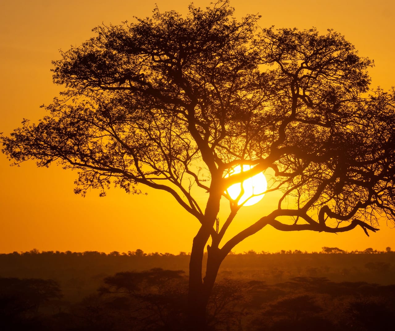 PRZYLOT DO TANZANII
