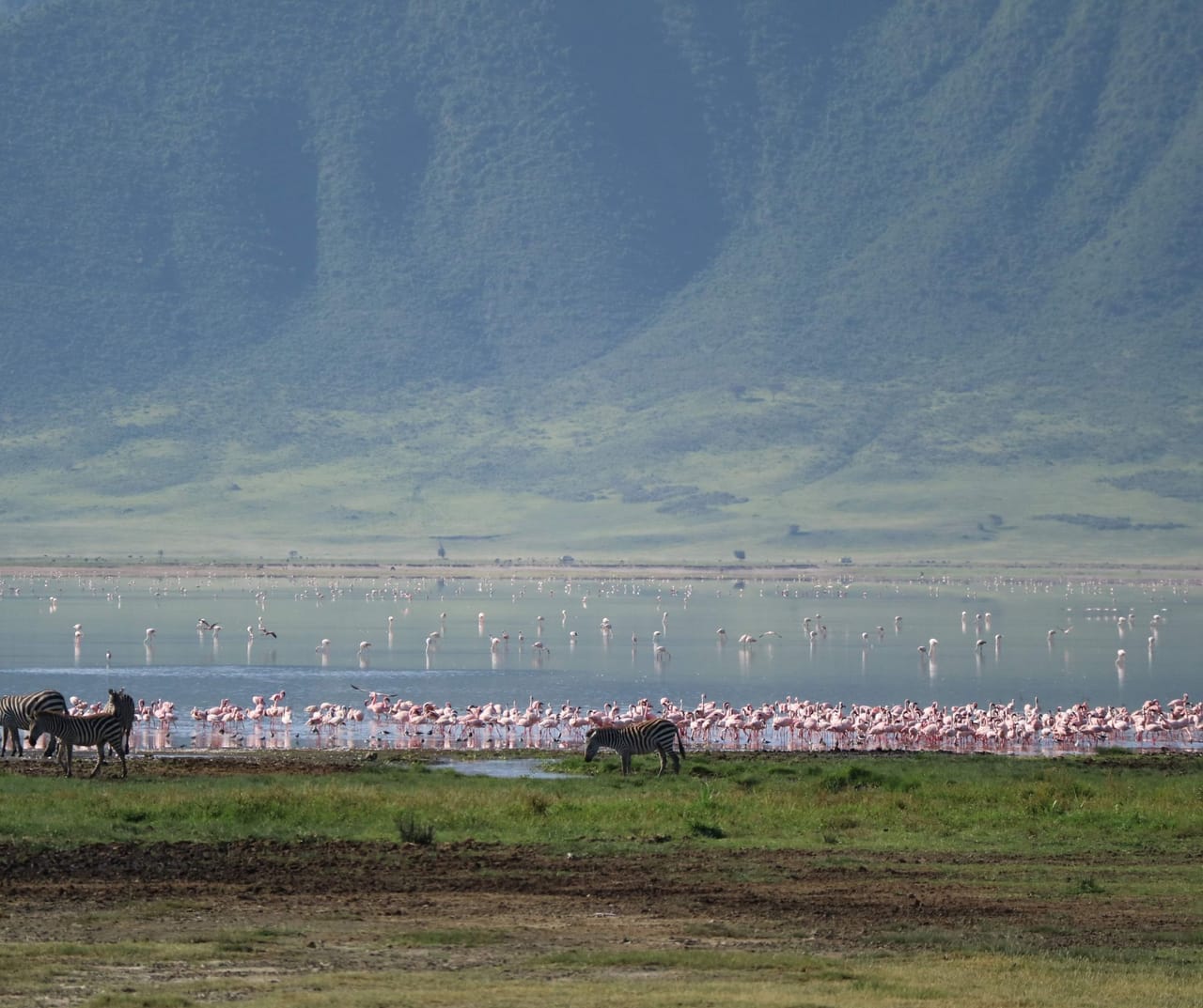 SERENGETI  PRZEJAZD DO NGORONGORO