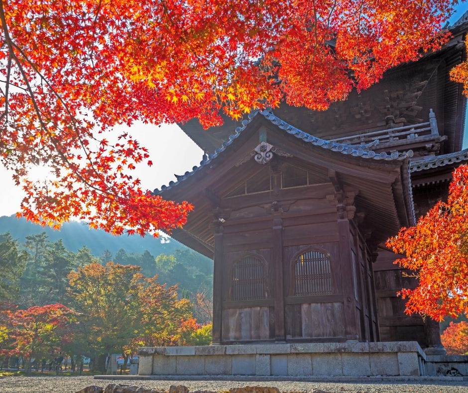 ŚWIĄTYNIA KINKAKUJI