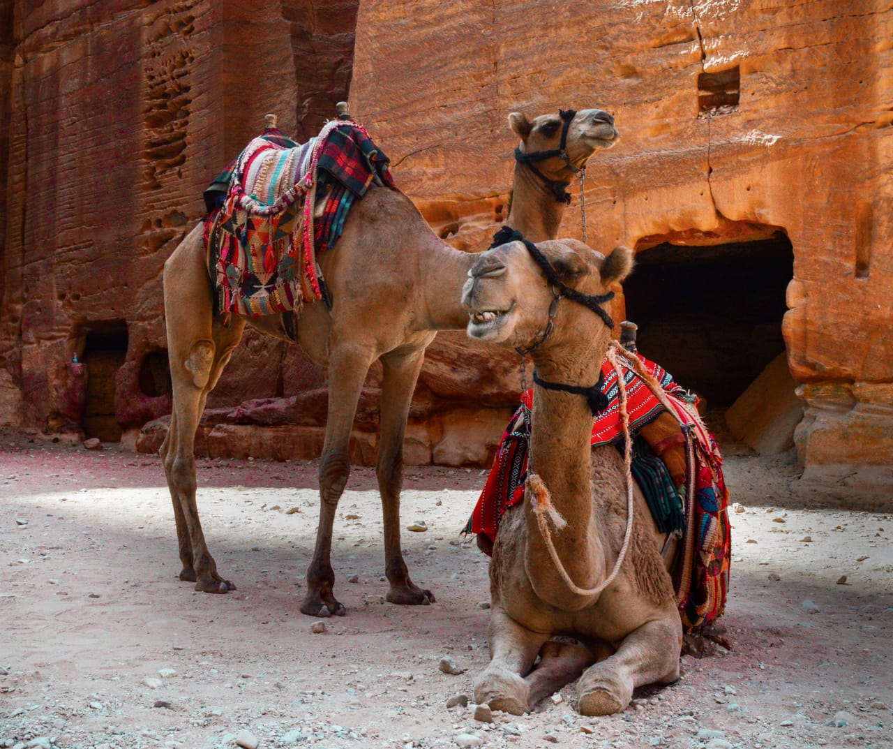 PRZYLOT DO JORDANII
