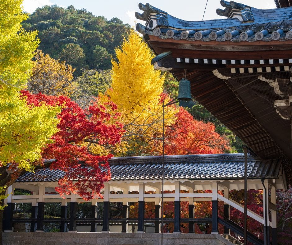 ŚWIĄTYNIA KINKAKUJI