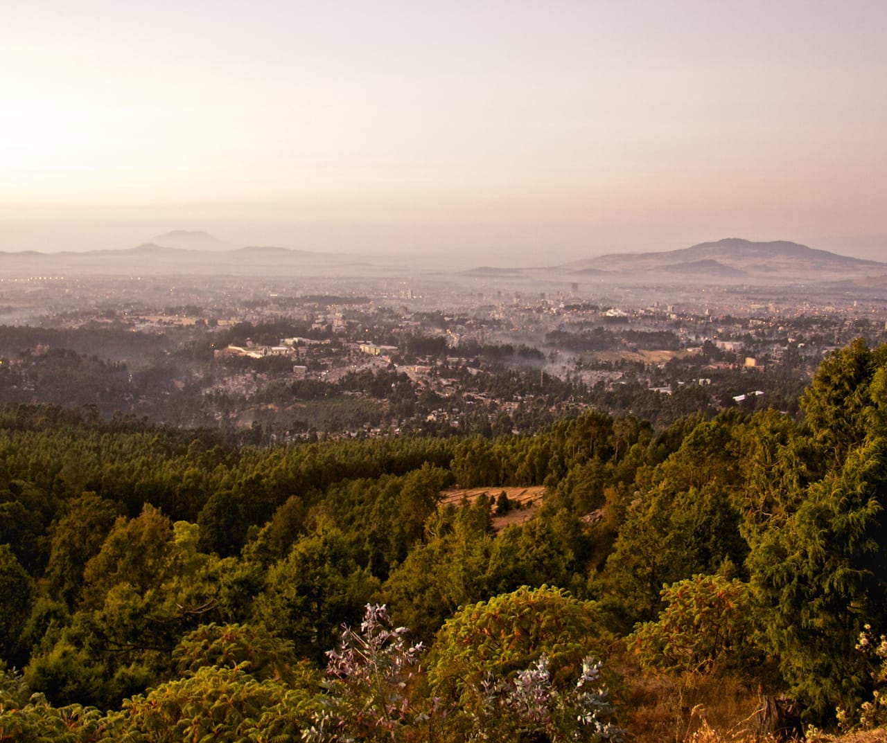 ZWIEDZANIE ADDIS ABEBA