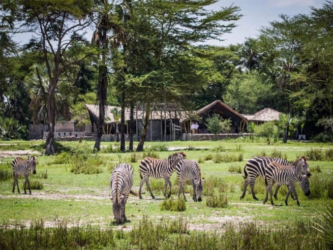 PRZYLOT DO TANZANII