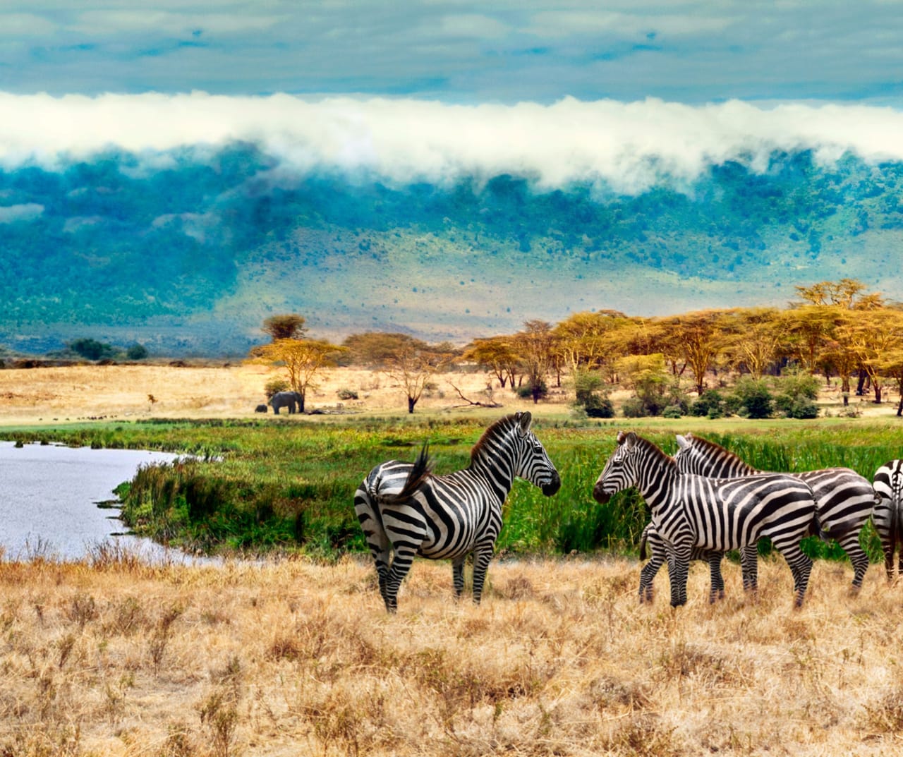 SERENGETI  PRZEJAZD DO NGORONGORO